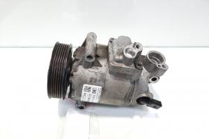 Compresor clima Delphi, cod 5N0820803E, Seat Leon (1P1), 1.6 TDI, CAY (idi:481819) din dezmembrari