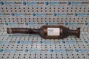 Catalizator, Vw Golf 4 (1J1) 1.4B (id.175860) din dezmembrari