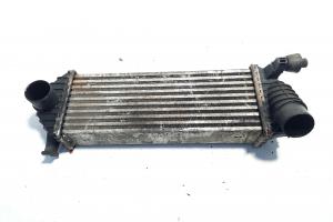 Radiator intercooler, cod 8200427469, Renault Kangoo 2, 1.5 DCI, K9K800 (id:506839) din dezmembrari