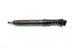 Injector, cod 9686191080, EMBR00101D, Ford Galaxy 2, 2.0 TDCI, UFWA (pr:110747) din dezmembrari