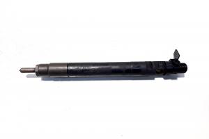 Injector, cod 9686191080, EMBR00101D, Ford Galaxy 2, 2.0 TDCI, UFWA (id:516583) din dezmembrari