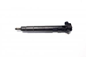 Injector, cod A6510700587, Mercedes Clasa E (W212) 2.2 CDI, OM651924 (id:520431) din dezmembrari