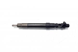 Injector, cod 9686191080, EMBR00101D, Ford Kuga I, 2.0 TDCI, TXDA (pr:110747) din dezmembrari