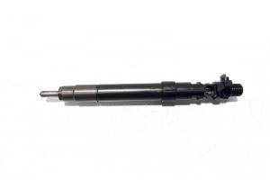 Injector, cod 9686191080, EMBR00101D, Ford Galaxy 2, 2.0 TDCI, UFWA (id:529909) din dezmembrari