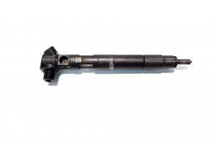 Injector Delphi, cod A6510702887, Mercedes Clasa E (W212) 2.2 CDI, OM651924 (id:537714) din dezmembrari