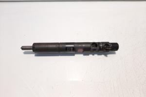 Injector Delphi, cod 166007866R, H8200827965, Renault Clio 3, 1.5 DCI, K9K770 (id:566514) din dezmembrari