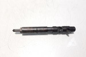 Injector Delphi, cod 8200815416. EJBR05102D, Dacia Logan (LS), 1.5 DCI, K9K792, euro 4 (id:572099) din dezmembrari