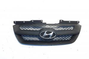 Grila bara fata centrala cu sigla, Hyundai Sonata 4 (EF) (id:572618) din dezmembrari