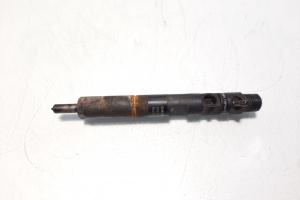 Injector Delphi, cod 166000897R, H8200827965, Renault Clio 3, 1.5 DCI, K9K770 (id:572754) din dezmembrari