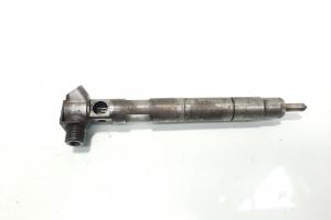 Injector Delphi, cod A6510700587, Mercedes Clasa CLA Coupe (C117), 2.2 CDI, OM651930 (idi:585046) din dezmembrari