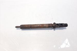 Injector Delphi, cod 9640945980, Citroen C3 (I), 1.4 HDI (id:588706) din dezmembrari