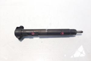 Injector Delphi, cod A6510704987, Mercedes Clasa E Cabriolet (A207), 2.2 CDI, OM651911 (idi:588688) din dezmembrari