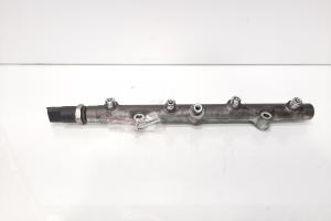 Rampa injectoare cu senzor, cod 0445214011, Land Rover Freelander (LN), 2.0 diesel, 204D3 (id:599910) din dezmembrari