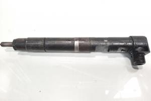 Injector Delphi, cod A6510702887, Mercedes Clasa E (W212) 2.2 CDI, OM651924 (id:600735) din dezmembrari