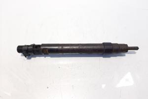 Injector, cod 9686191080, EMBR00101D, Ford Galaxy 2, 2.0 TDCI, UFWA (id:609621) din dezmembrari