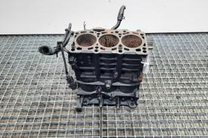 Bloc motor gol, VW Polo (9N), 1.4 TDI, AMF (pr:110747) din dezmembrari