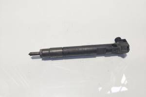 Injector Delphi, cod A6510702887, Mercedes Clasa C T-Model (S204), 2.2 CDI, OM651911 (idi:624258) din dezmembrari