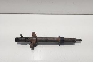 Injector, cod 9688438580, EJBR06001D, Citroen C5 (III) Break, 2.0 HDI, RHF (id:628174) din dezmembrari