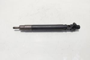 Injector, cod 9686191080, EMBR00101D, Ford Galaxy 2, 2.0 TDCI, UFWA (id:595720) din dezmembrari