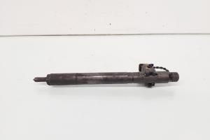 Injector Delphi, cod A6460700987, Mercedes Clasa E (W211) 2.2 CDI, OM646821 (id:649945) din dezmembrari