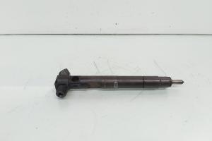 Injector Delphi, cod A6510702887, Mercedes Clasa E (W212), 2.2 CDI, OM651924 (id:653788) din dezmembrari