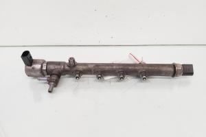 Rampa injectoare cu senzori Delphi, cod A6510700595, Mercedes Clasa C (W204), 2.2 CDI, 0M651911 (idi:655784) din dezmembrari