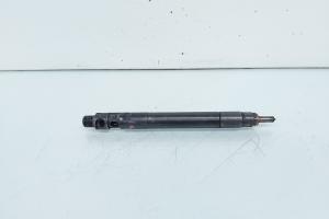 Injector, cod 9686191080, EMBR00101D, Ford Galaxy 2, 2.0 TDCI, UFWA (id:656830) din dezmembrari