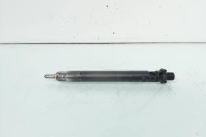 Injector, cod 9686191080, EMBR00101D, Ford Galaxy 2, 2.0 TDCI, UFWA (id:656827) din dezmembrari