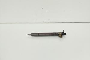 Injector, cod 9686191080, EMBR00101D, Ford Galaxy 2  2.0 TDCI, UFWA (id:660423) din dezmembrari