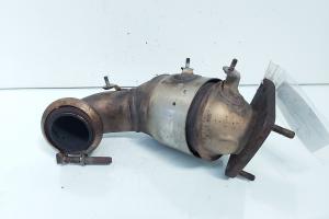 Catalizator, cod GM55354249, Opel Signum 1.9 CDTI, Z19DTH (id:664326) din dezmembrari