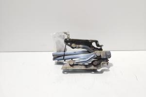 Set balamale capota fata, Skoda Octavia 2 Combi (1Z5) (id:675918) din dezmembrari
