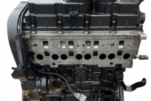 Motor, cod BMN, Vw Golf 5 (1K1) 2.0 TDI (pr:110747) din dezmembrari