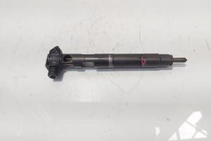 Injector Delphi, cod A6510704987, Mercedes Clasa E (W212) 2.2 CDI, OM651924 (id:474130) din dezmembrari