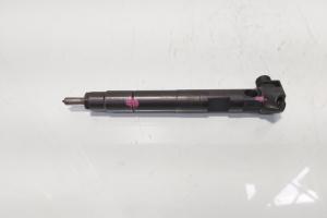 Injector Delphi, cod A6510704987, Mercedes Clasa E T-Model (S212), 2.2 CDI, OM651924 (idi:683925) din dezmembrari