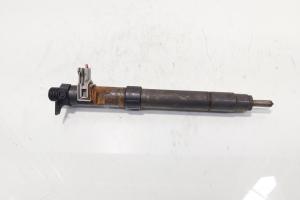 Injector, cod 9686191080, EMBR00101D, Land Rover Range Rover Evoque, 2.2CD4, 224DT (id:686886) din dezmembrari