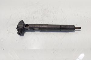 Injector Delphi, cod A6510702887, Mercedes Clasa E (W212) 2.2 CDI, OM651924 (id:685094) din dezmembrari