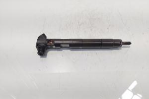 Injector Delphi, cod A6510702887, Mercedes Clasa E (W212) 2.2 CDI, OM651924 (id:687549) din dezmembrari