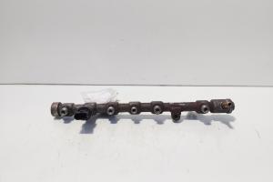 Rampa injectoare cu senzori, cod 8200620689, 0445214113, Renault Megane 3 Coupe, 1.9 DCI, F9Q754 (idi:685420) din dezmembrari