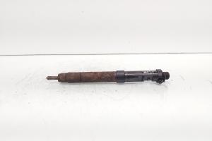 Injector, cod 9686191080, EMBR00101D, Ford Galaxy 2 2.0 TDCI, UFWA (id:692036) din dezmembrari