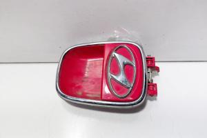 Maner deschidere haion cu sigla, Hyundai i10 (id:698276) din dezmembrari