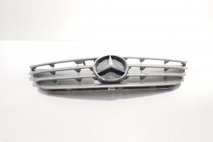 Grila bara fata centrala cu sigla, cod 1698800183, Mercedes Clasa B (W245) (id:707047) din dezmembrari