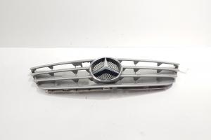 Grila bara fata centrala cu sigla, cod 1698800183, Mercedes Clasa B (W245) (id:707047) din dezmembrari