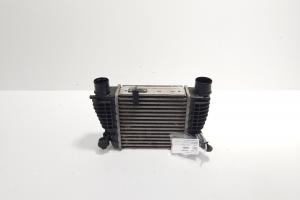 Radiator intercooler, cod 14461EM00A, Nissan Juke 1.5 DCI, K9K636 (id:709498) din dezmembrari