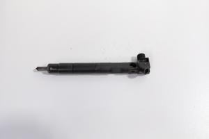 Injector Delphi, cod A6510702887, Mercedes Clasa E (W212) 2.2 CDI, OM651924 (id:711749) din dezmembrari