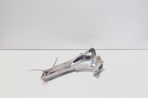 Set balamale capota fata, Nissan Pixo (UA0) (id:523614) din dezmembrari