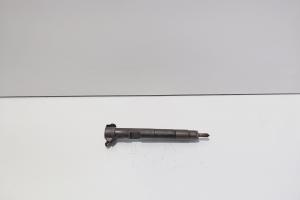 Injector Delphi, cod A6510700587, Mercedes Clasa E (W212) 2.2 CDI, OM651924 (id:712883) din dezmembrari