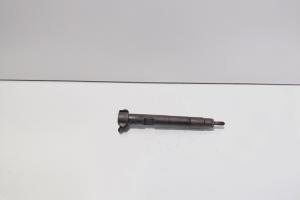 Injector Delphi, cod A6510700587, Mercedes Clasa E (W212) 2.2 CDI, OM651924 (id:712884) din dezmembrari