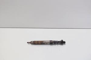 Injector, cod 9686191080, EMBR00101D, Ford Galaxy 2 2.0 TDCI, UFWA (id:713305) din dezmembrari