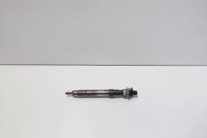 Injector, cod 9686191080, EMBR00101D, Ford Galaxy 2 2.0 TDCI, UFWA (id:713303) din dezmembrari