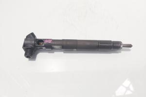 Injector Delphi, cod A6510702887, Mercedes Clasa E (W212) 2.2 CDI, OM651924 (id:714618) din dezmembrari